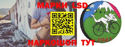 PSILOCYBIN Бугуруслан